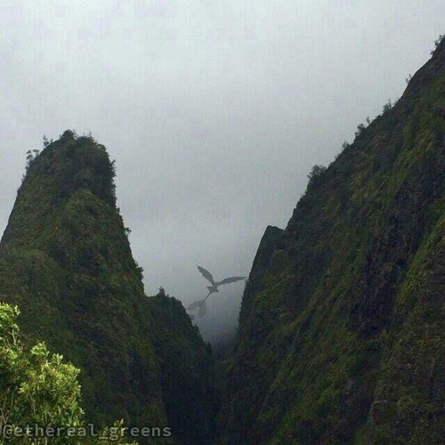 out.jpg