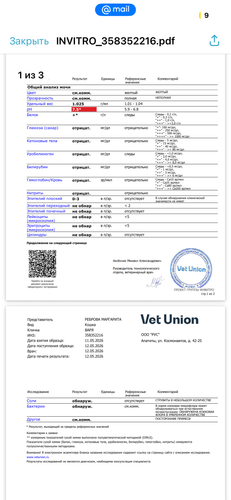 IMG 1842.png