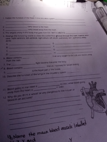 temp.png