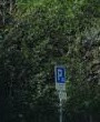 road sign tmp.jpg