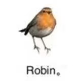 1779034121370.png
