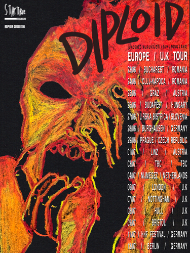 Diploid Europe UK 2026 Tour Portrait FINAL VERSION.png