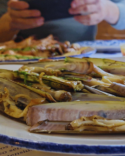 Restaurante de mariscos Barcelona | https://share.google/seLXYF3c8WKOWjakC.jpg