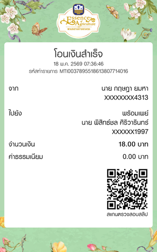 54244cb03bed.png