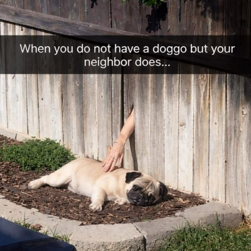 temp.png