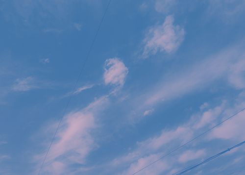 temp.png