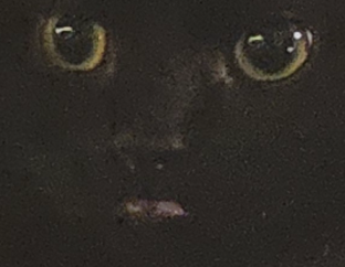 Screenshot 2026 05 18 013021.png