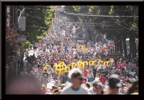 1000030383.gif