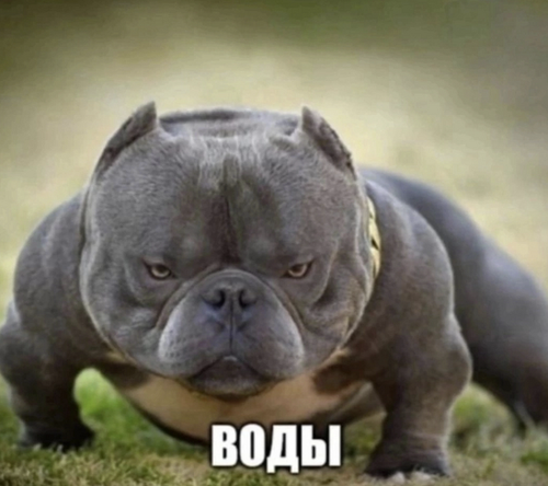 chrome YzjlltGlMe.png