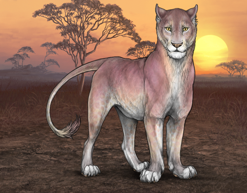IMG 0836.png