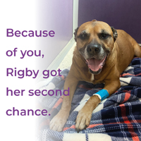 Rigby Delivery image 200x200.jpg