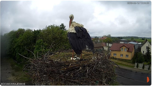 MWSnap838.jpg