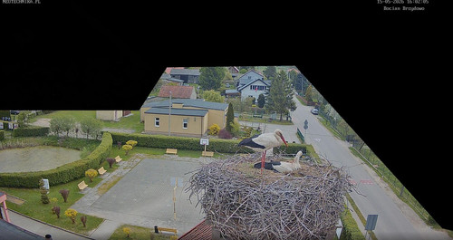 MWSnap625.jpg