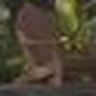 a0b52278ce9c.png