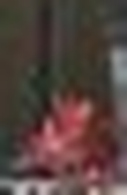 65b227f9141c.png