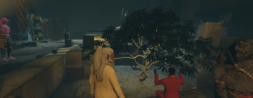 May2grow.png