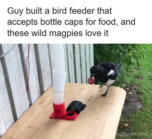 magpies recycling machine bottle caps.jpg