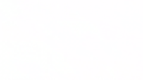 ss 06.png