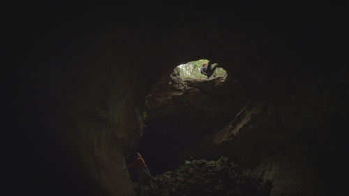 David.Attenboroughs.Galapagos.S01E02.Adaptation.2160p.NOW.WEB DL.DDP5.1.H.265 RAWR.0:25:07.png