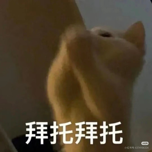 0062BoZOgy1id6j7klo8yj30u00u0goe.jpg