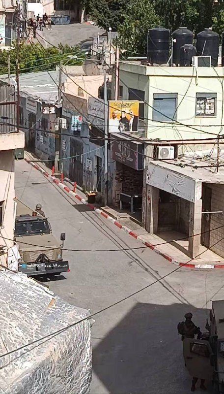 صورة الخبر