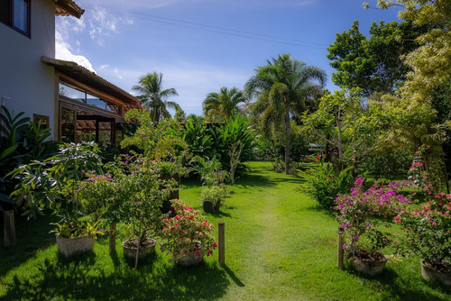 p09.jpg