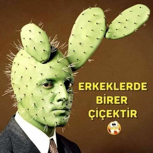 106e192e475473b9b2f1199ee0ceffeb.jpg
