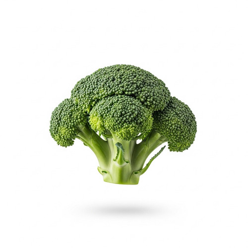 f58fff1c4f8e.jpg