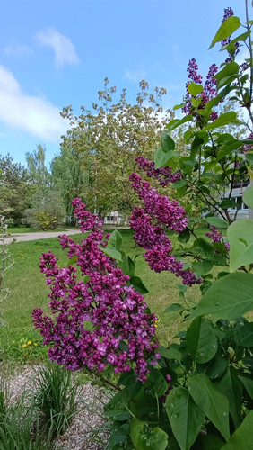 1000001224.jpg