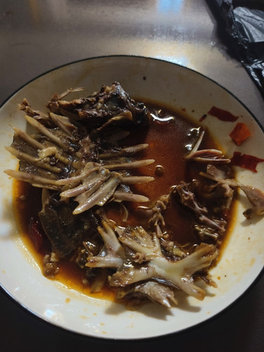 IMG 20260518 005826.jpg