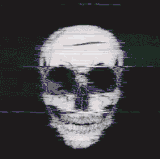skulldef.gif