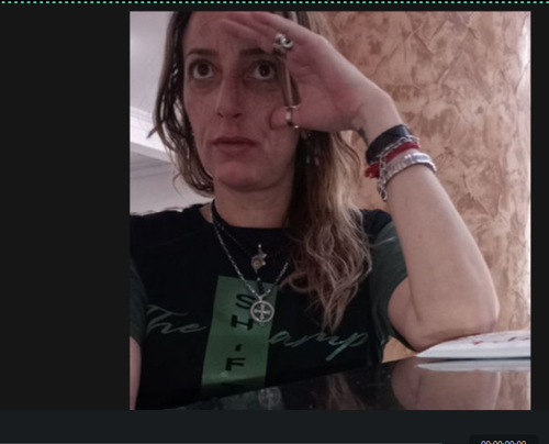 Snapshot 39.png