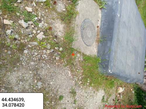 1000003150.jpg
