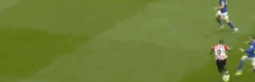 bro2.gif