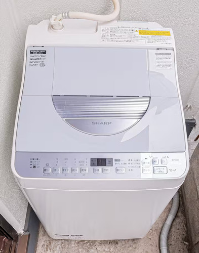 e8ca69c6 1983 4047 8da6 8855bc93ede8.jpg