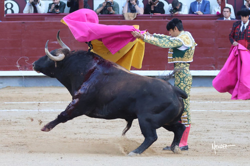 215A1333.jpg