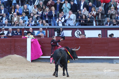 215A0809.jpg