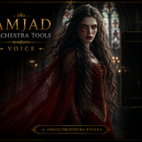 AMJAD ORCHESTRA TOOLS Kontakt Pro Library (21)