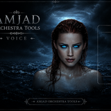 AMJAD ORCHESTRA TOOLS Kontakt Pro Library (5)