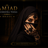 AMJAD ORCHESTRA TOOLS Kontakt Pro Library (44)