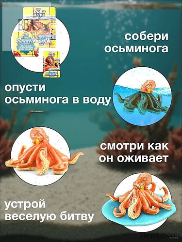 755f681f6989.jpg