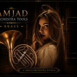 AMJAD ORCHESTRA TOOLS Kontakt Pro Library (45)