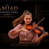 AMJAD ORCHESTRA TOOLS Kontakt Pro Library (27)