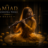 AMJAD ORCHESTRA TOOLS Kontakt Pro Library (11)