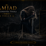 AMJAD ORCHESTRA TOOLS Kontakt Pro Library (15)