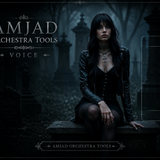 AMJAD ORCHESTRA TOOLS Kontakt Pro Library (14)