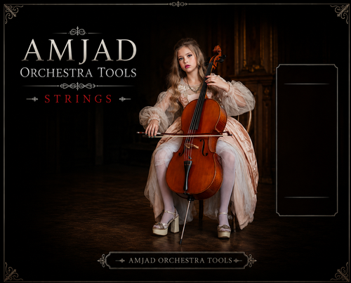 AMJAD ORCHESTRA TOOLS Kontakt Pro Library (32).png