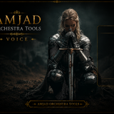AMJAD ORCHESTRA TOOLS Kontakt Pro Library (31)
