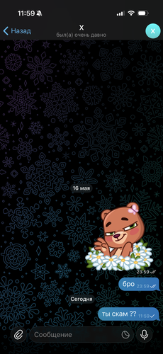 IMG 4279.png