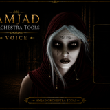 AMJAD ORCHESTRA TOOLS Kontakt Pro Library (35)